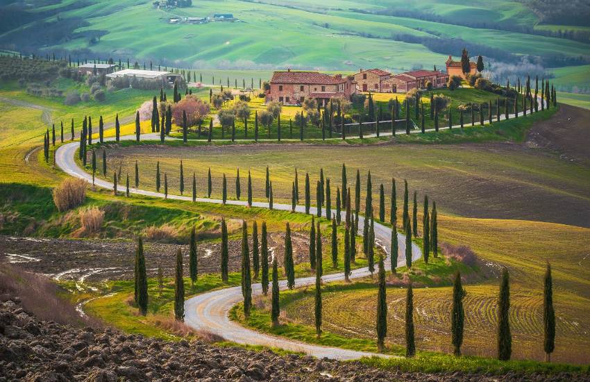 Val d’Orcia landscape with rolling hills and a winding cypress-lined road